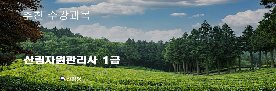 �긲�ڿ������� 1��
